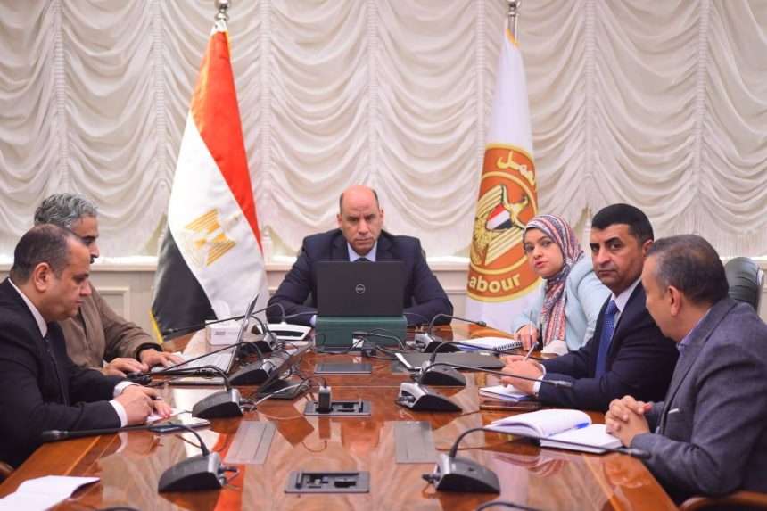 وزير العمل لمكاتب التمثيل العمالي بالخارج