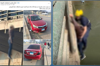 image 15 e1775665868125