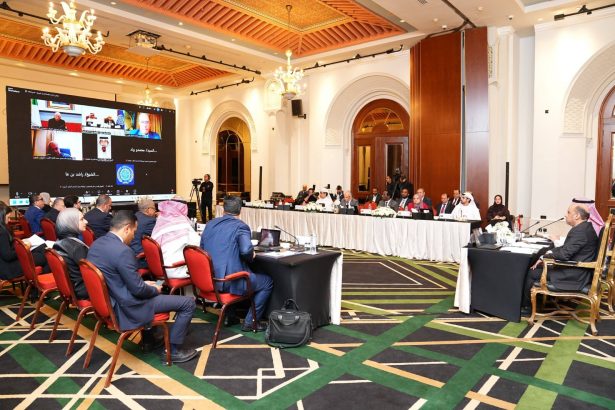 القاهرة تجمع أطراف الإنتاج الثلاثة العرب. ووزير العمل الظروف الاستثنائية تستدعي تكثيف العمل المشتر