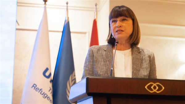 دور مصر في حشد التزامات معززة التمويل المناخ، ودفع أولويات التكيف والانتقال العادل، والوفاء بتعهدات نقل التكنولوجيا وبناء القدرات