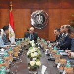 وزير الاستثمار يبحث مع قيادات سامسونغ وإل جي خطط التوسع الاستثماري نسعى لزيادة تنافسية شعار صنع في مصر في الأسواق العالمي