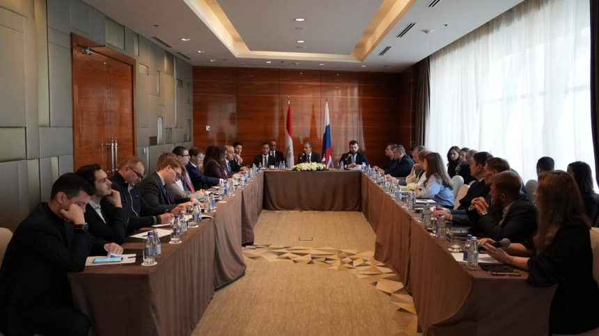 وزير الخارجية يستعرض أمام ممثلي كبرى الشركات الروسية الامتيازات المصرية والحوافز الاستثمارية للمستثمرين
