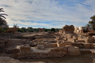 image 316