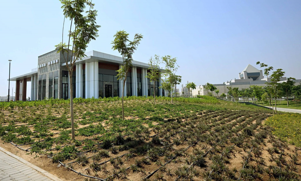 image 351