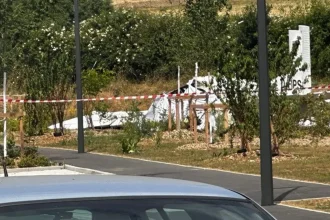 مقتل 11 شخصا في تحطم طائرة بفرنسا