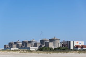 AFP 20260811 C4E78WG v1 HighRes FranceEnergyNuclearEnvironmentAnimal