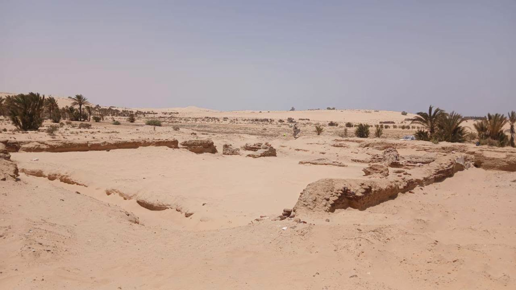 الكشف عن بقايا خان طريق بمدينة «عسيلة» بشمال سيناء على الدرب السلطاني (صور) 4 image 152