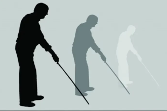 image 238