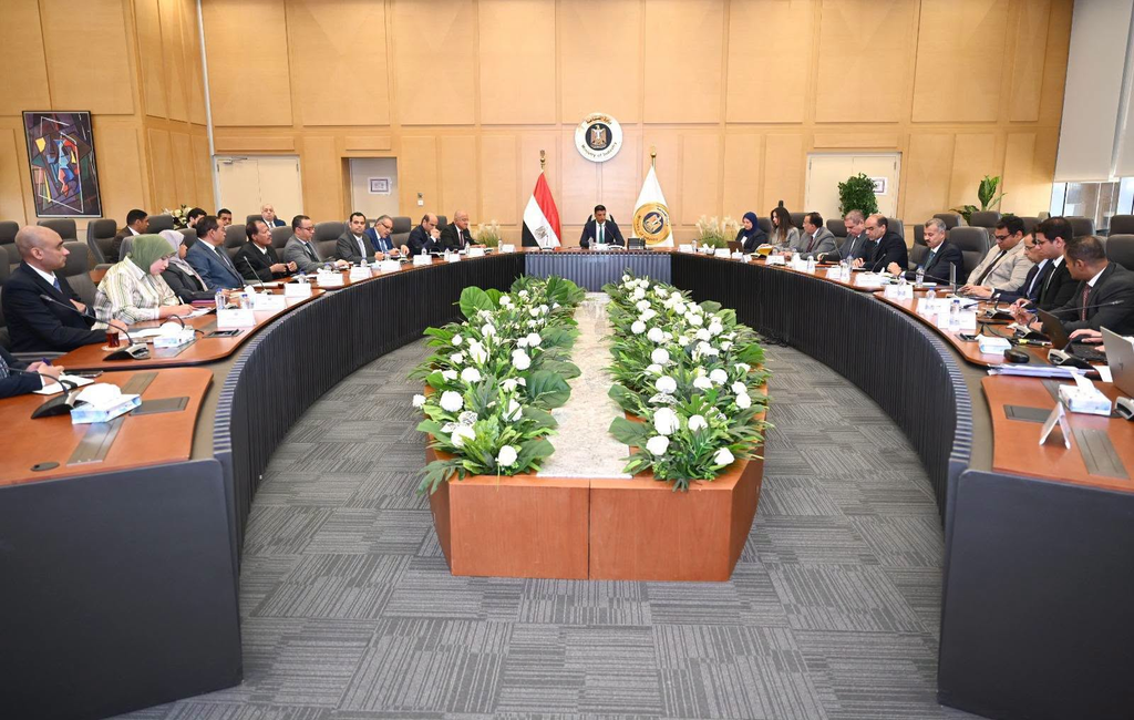 وضع خارطة طريق تفضيل المنتجات المصرية في العقود الحكومية ودراسة استحداث منظومة جديدة لتقييم المنشآت الصناعية 2 image 385