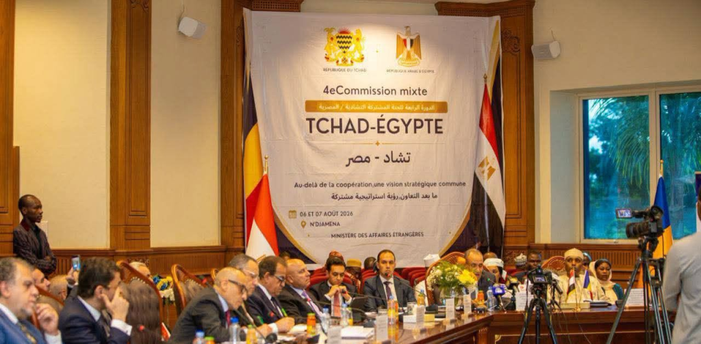جامعة مصرية ومركز طبي بأنجامينا.. مصر وتشاد تتفقان على توسيع التعاون وتعزيز الشراكة الأكاديمية 2 image 64