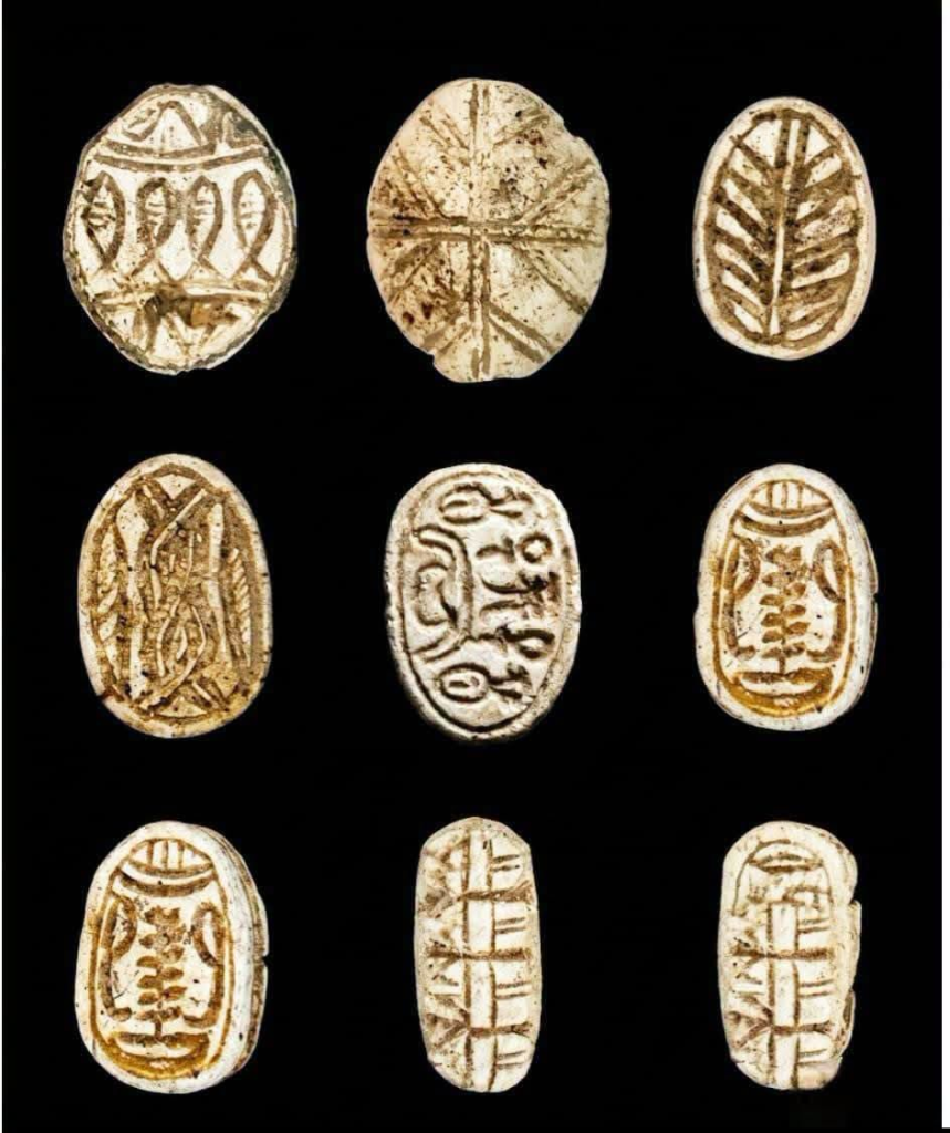 كشف أثري بالدقهلية يوثق آلاف السنين من الاستيطان البشري.. جبانة من عصر ما قبل الأسرات حتى العصرين اليوناني والروماني ومنطقة سكنية لعصر الانتقال الثاني (صور) 9 image 91