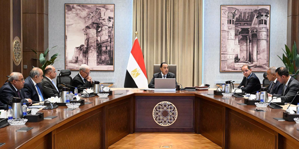 رئيس الوزراء يؤكد مواصلة تنفيذ برنامج الطروحات الحكومية من خلال طرح حصص من عدد من الشركات المملوكة للدولة 2 image 111