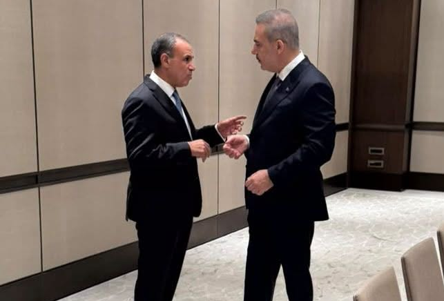 وزيرا خارجية مصر وتركيا